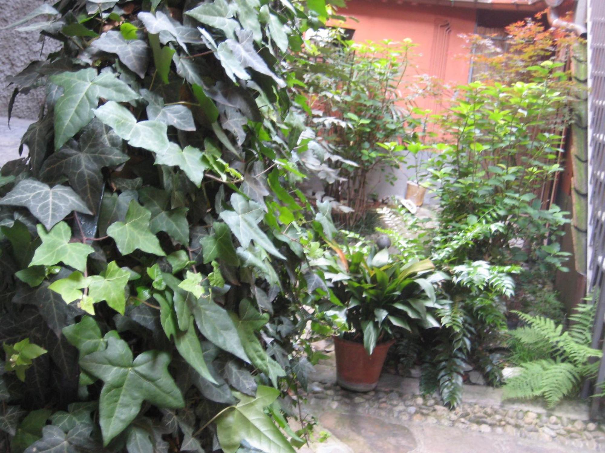 Relais Ai Campi Apartment เบลลาโจ ห้อง รูปภาพ