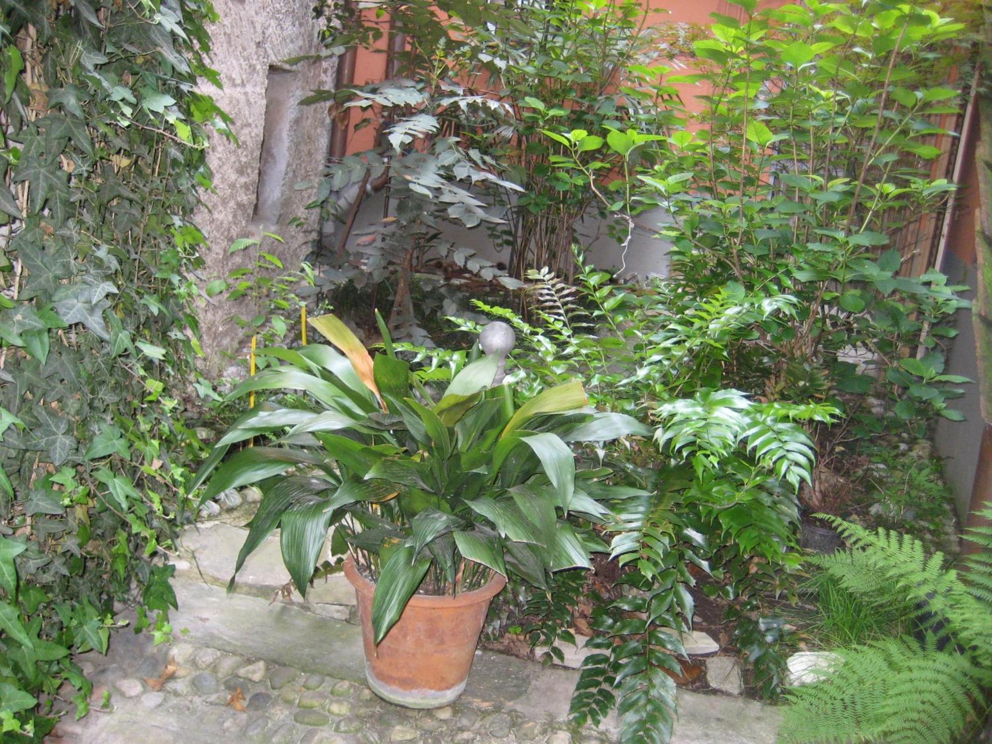 Relais Ai Campi Apartment เบลลาโจ ห้อง รูปภาพ