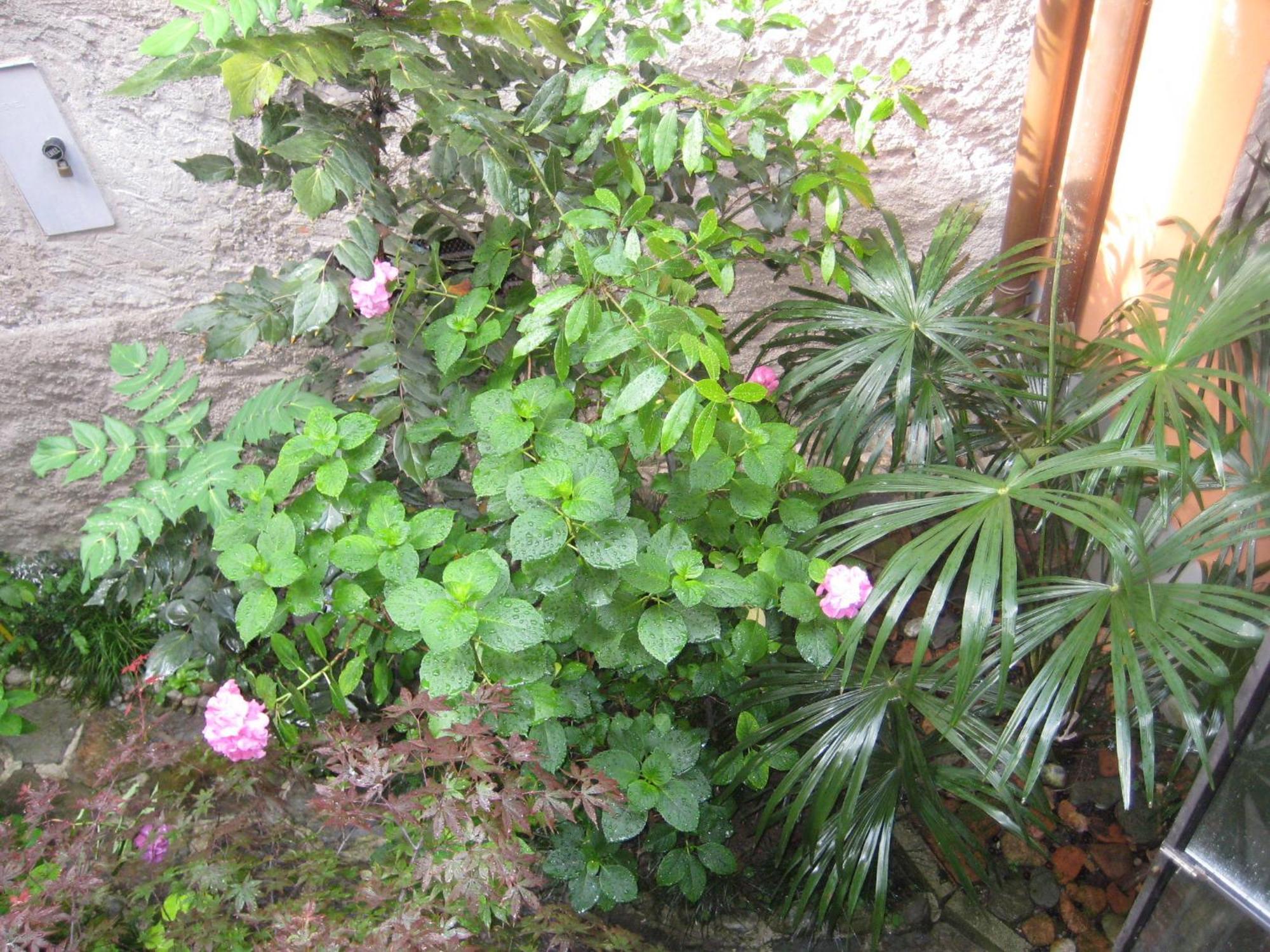 Relais Ai Campi Apartment เบลลาโจ ห้อง รูปภาพ